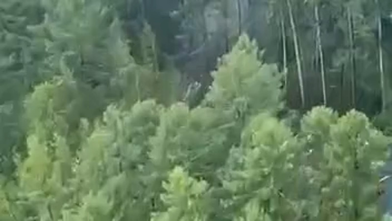 Кадры из видео