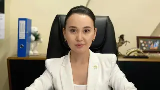 Сферу благотворительности в Казахстане ждут изменения после дела Перизат Кайрат