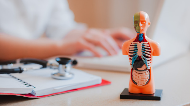 Фото:depositphotos.com