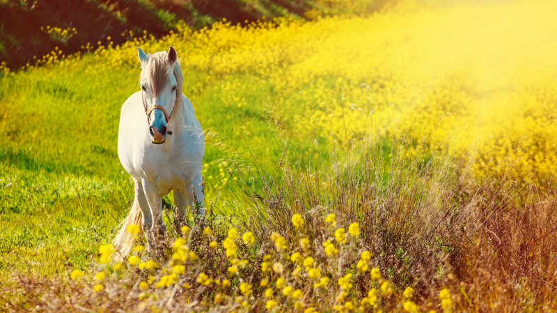 Фото:depositphotos.com