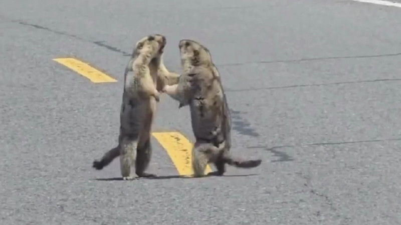 Кадры из видео