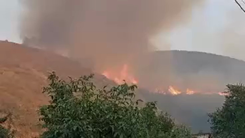 Кадры из видео