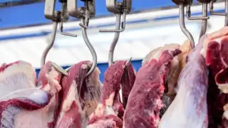 В Шымкенте взлетели цены на говядину: что говорят в Минторговли