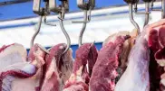 В Шымкенте взлетели цены на говядину: что говорят в Минторговли