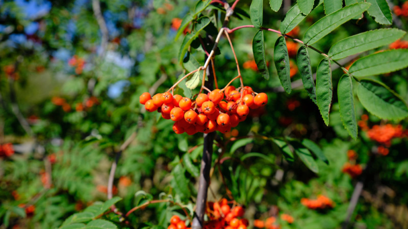 Фото:depositphotos.com