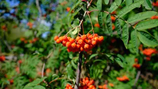 Жара охватит юг, дожди прольются на севере: прогноз на воскресенье в Казахстане