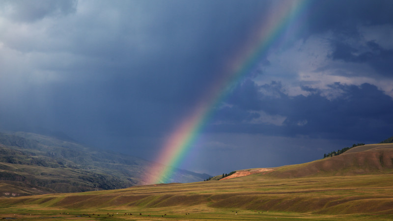 Фото:depositphotos.com