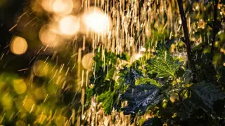 Шквальный ветер и дожди обрушатся на Казахстан 29 июля