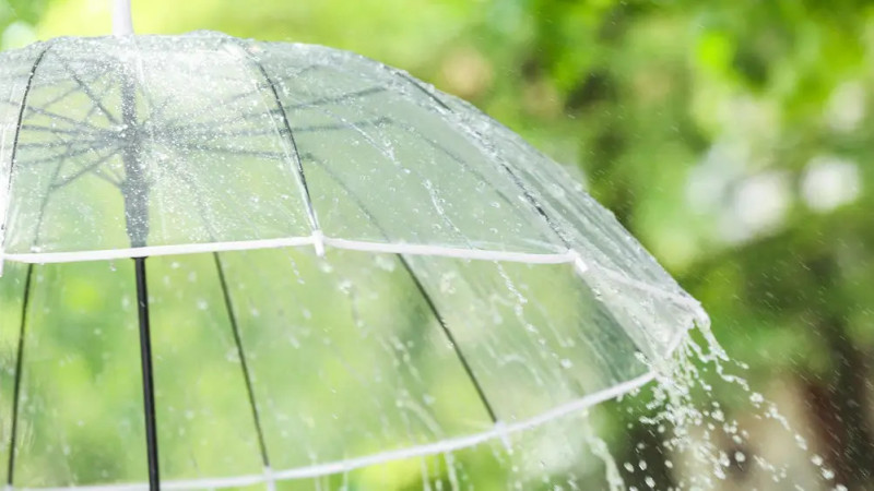 Фото:depositphotos.com