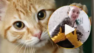 “Отрублю башку“: жестокое видео подростка обсуждают казахстанцы