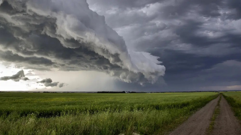 Фото:depositphotos.com