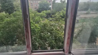 “Семья вроде нормальная, но она уже прыгала“. Соседи о женщине, выбросившей детей из окна