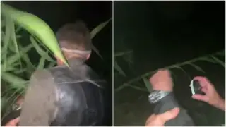 Отдыхавший на базе отдыха мужчина заблудился в зарослях камыша