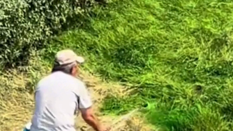 Кадры из видео