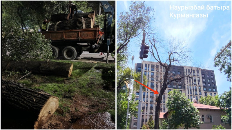 Фото: Threads/управлении экологии и окружающей среды Алматы