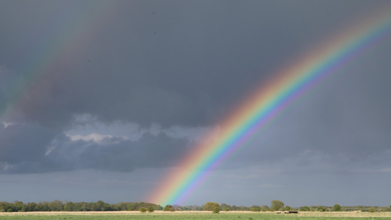 Фото:depositphotos.com