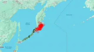 Сильное землетрясение произошло у Курильских островов