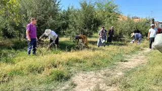 Более 11 тысяч шымкентцев приняли участие в экологической акции