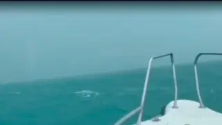 14 человек спасли в 20 километрах от берега на озере Алаколь