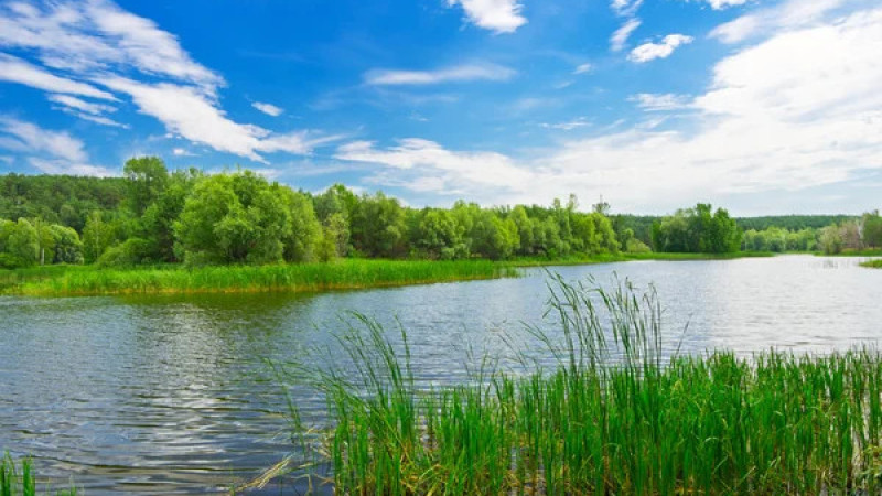 Фото: depositphotos.com