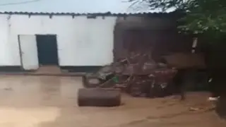 “Такой аномалии ещё не было“: 30-минутный ливень затопил село в Жетысу