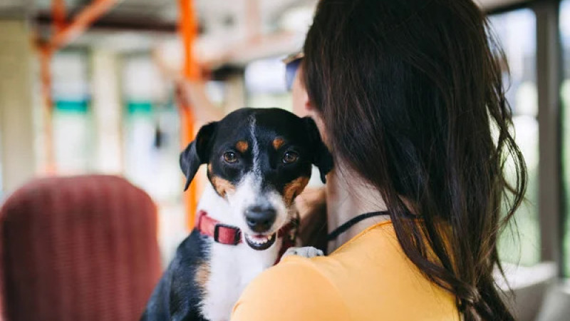 Фото: depositphotos.com