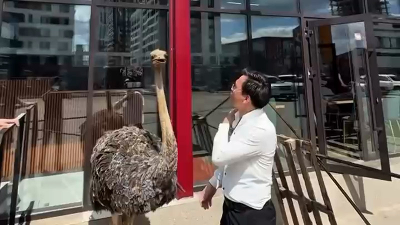 Кадры из видео/Instagram