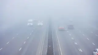 Ловушка для водителей: как туман может искажать восприятие