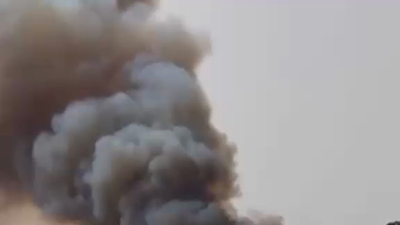 Кадры из видео Tik Tok/DailyMail