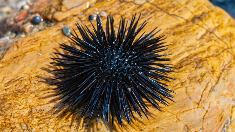 Фото:depositphotos.com