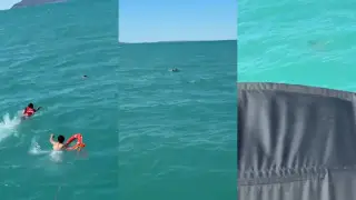 Подросток утонул на глазах у отдыхающих на Алаколе