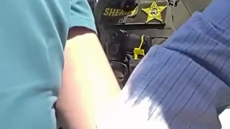 Кадры из видео TikTok/DailyMail