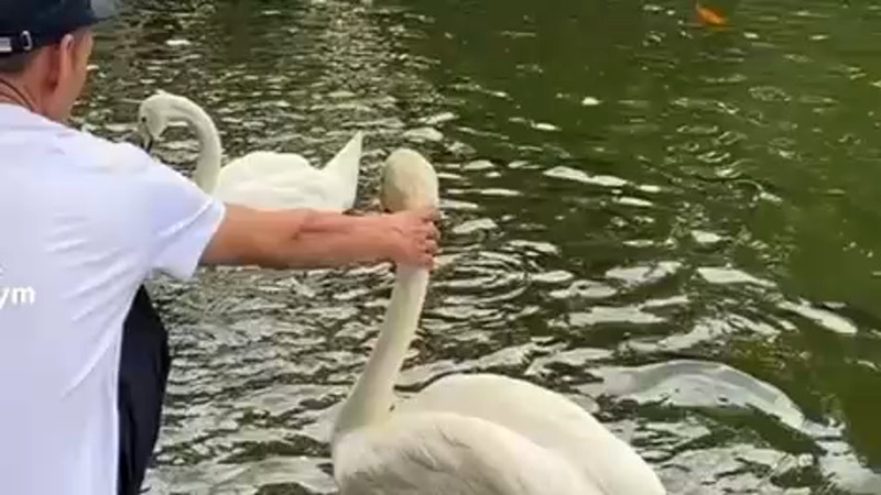 Кадры из видео TikTok/nurqilym