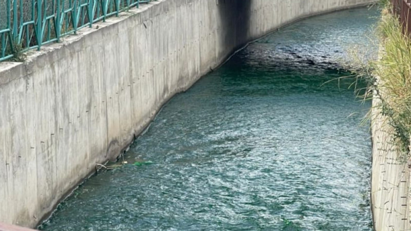 Фото предоставлено читателем Tengrinews.kz