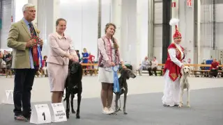 Состоялась официальная мировая премьера казахских тазы