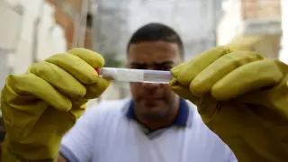 Врач назвал пугающий симптом распространяющегося в Китае вируса чикунгунья