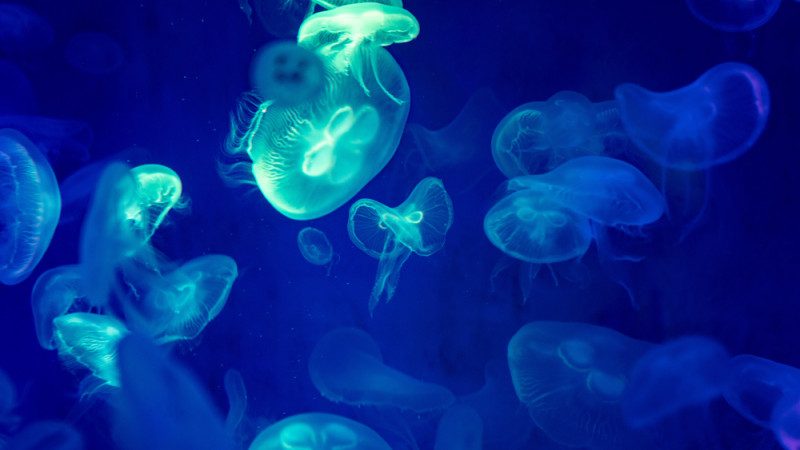 Фото:depositphotos.com