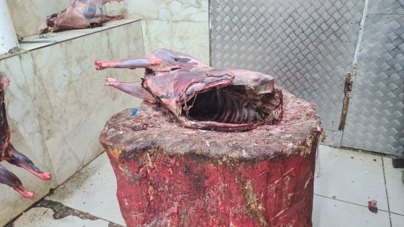 Фото ©️ Tengrinews.kz