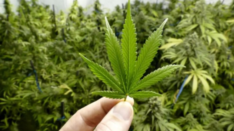 Фото: © Shutterstock