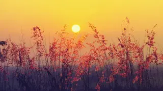 Температурный рекорд 83-летней давности побит в Казахстане