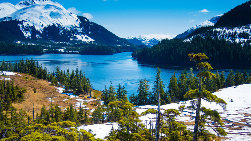 Фото:depositphotos.com