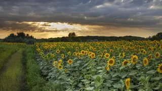 В Казахстан идёт циклон: синоптики прогнозируют ливни и палящее солнце