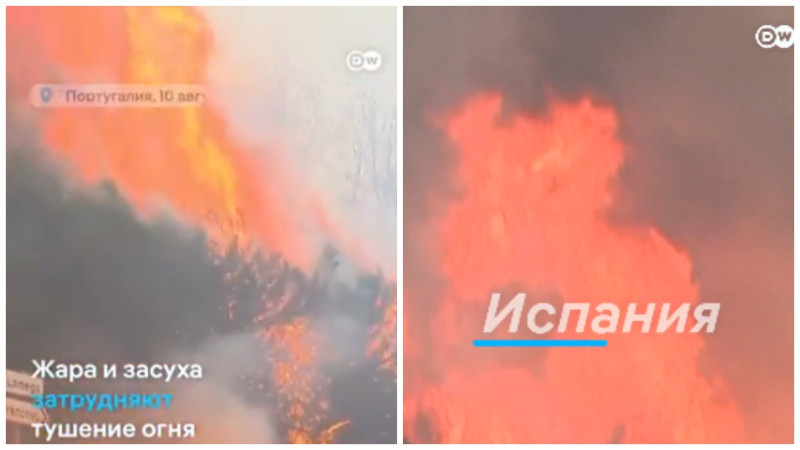 Кадры из видео