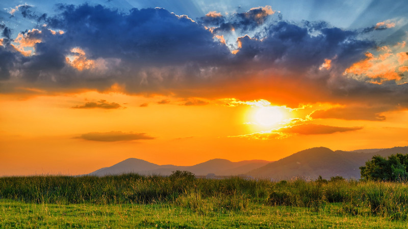 Фото:depositphotos.com