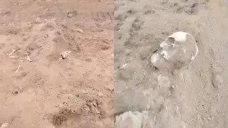 Рабочие наткнулись на человеческие останки на трассе в Казахстане