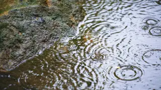 Дожди и грозы придут в десятки городов Казахстана: прогноз погоды