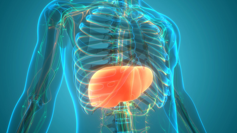 Фото:depositphotos.com