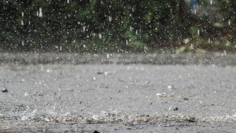 Фото:depositphotos.com