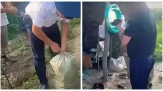 Наркотики под видом кукурузы: МВД и КНБ провели спецоперацию