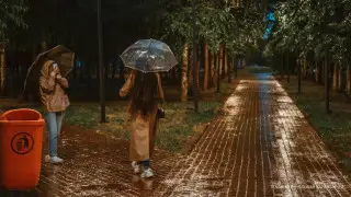 Дожди, грозы и жара: штормовое предупреждение объявили в 17 регионах страны